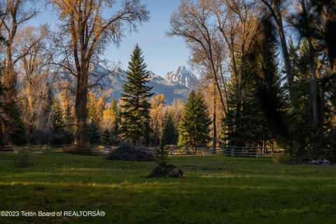 6600 N SNAKE RIVER WOODS Road, Jackson, WY 83001