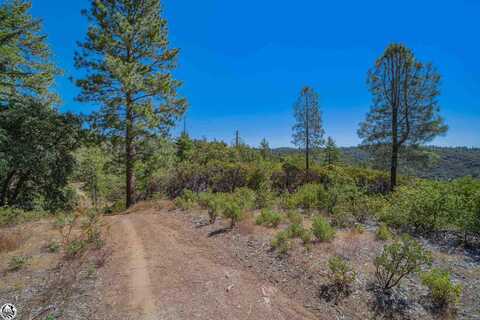 0000 Harper Rd, Big Oak Flat, CA 95305