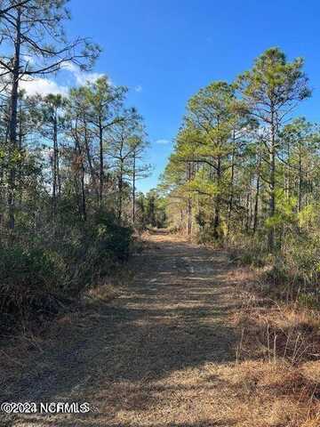 54 Acres Buck Shot Road, Hampstead, NC 28443