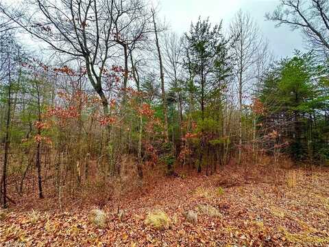 Lot 45 Ridge Run Road, Boomer, NC 28606