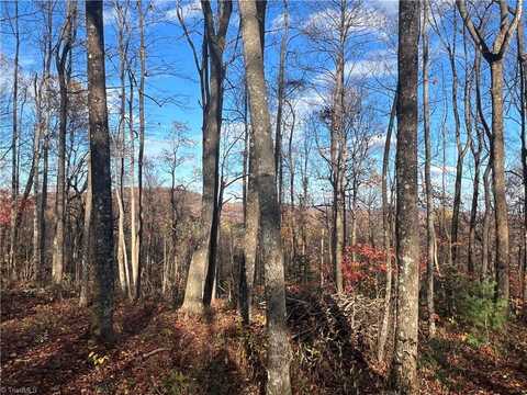 Tbd Dogwood Road, Moravian Falls, NC 28654