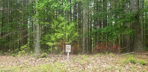 Tbd McIntosh Drive, Lowgap, NC 27024