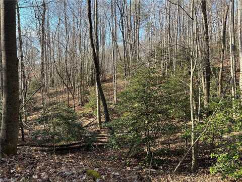 00 Hickman Hollow Trail, Mount Airy, NC 27030