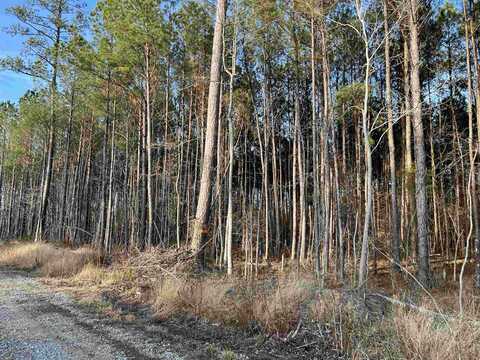 485 Mile Road, Vanceboro, NC 28586