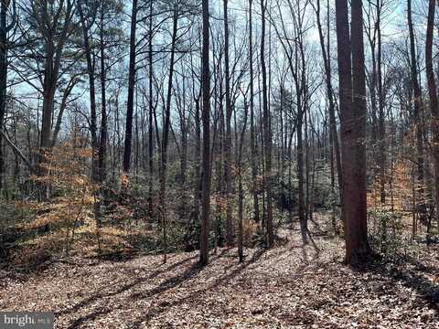 Lot 10B THUNDER RD, KING GEORGE, VA 22485