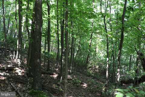 LOT 320 RIDGE RUN, CLAYSBURG, PA 16625