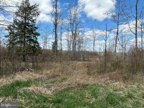 CHERRY RIDGE ROAD (LOT 5), MOUNT STORM, WV 26739