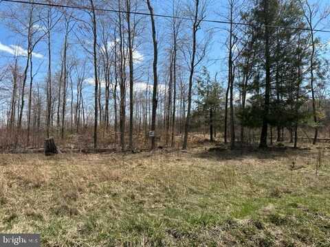 CHERRY RIDGE ROAD (LOT 4), MOUNT STORM, WV 26739