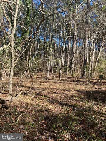 Lot 11 DAVIS RD, MARION STATION, MD 21838