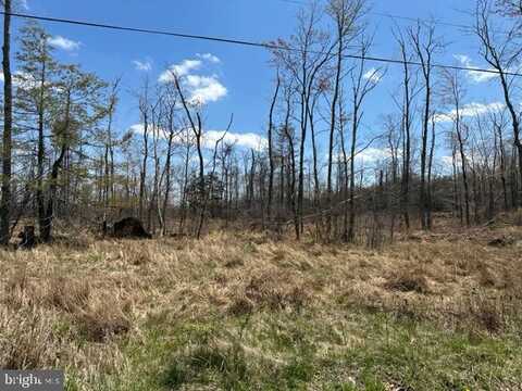 CHERRY RIDGE ROAD (LOT 3), MOUNT STORM, WV 26739