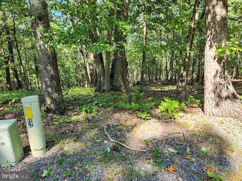 ironwood Lot IRONWOOD, MOUNT JACKSON, VA 22842