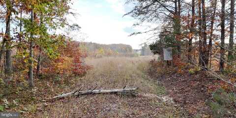 GRASTY GOLDMINE ROAD, RHOADESVILLE, VA 22542