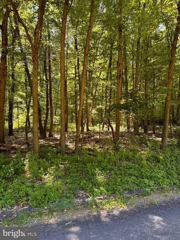 0 KLINE HOLLOW RD LOT 2, LIVERPOOL, PA 17045