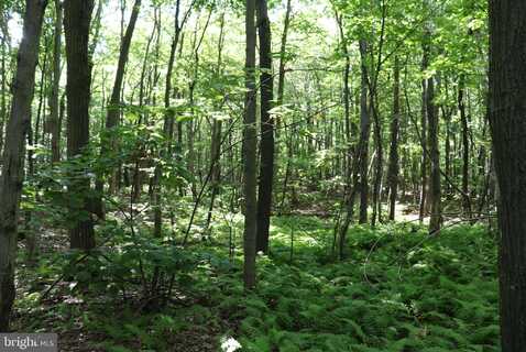 LOT 186 SMOKEY RUN, CLAYSBURG, PA 16625