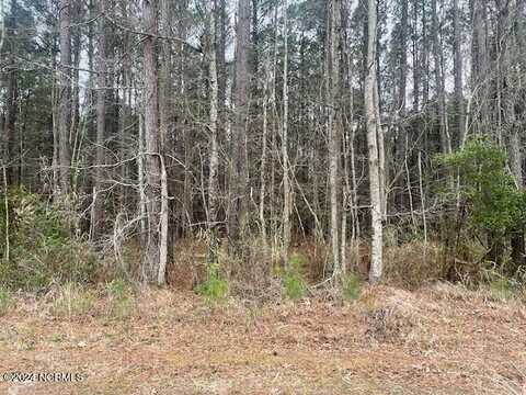 Lot 76 Mcgowan Road, Bath, NC 27808