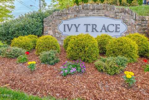 49 English Ivy Trail, Jonesborough, TN 37659