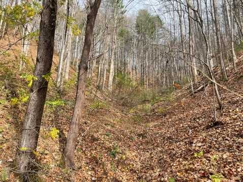 Tbd Spivey Mountain Road, Erwin, TN 37650