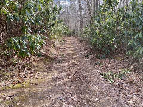 Tbd Norton Hollow Road, Erwin, TN 37650