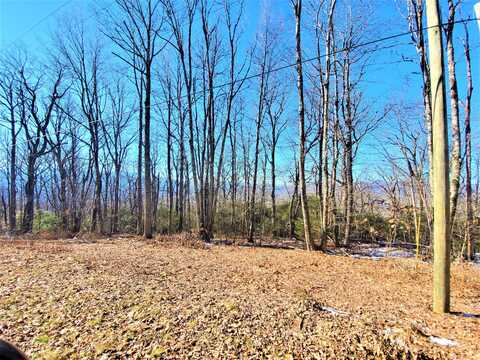 Tbd Henredon Road, Spruce Pine, NC 28777