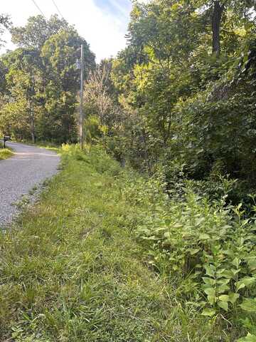 Lot 48 Emerald Way, Parrottsville, TN 37843