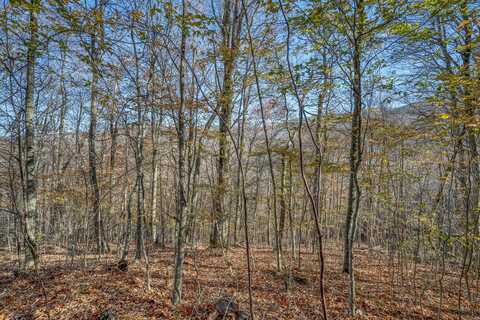 Lot 1 Timber Crest Drive, Roan Mountain, TN 37687