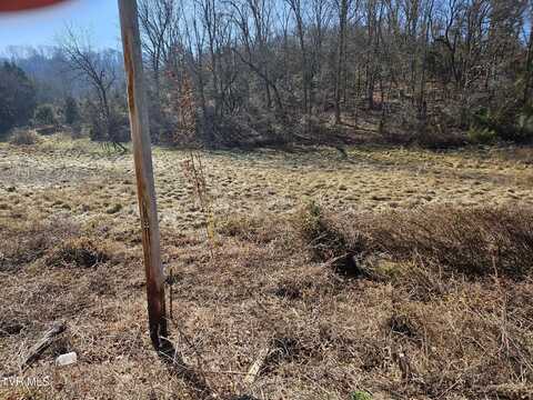 0 Blue Springs, Mosheim, TN 37818