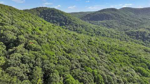 Tbd Nettle Patch, Norton, VA 24273