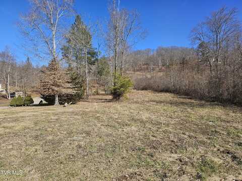 0 Old Leadmine Bend Rd Lot #53 Road, Sharps Chapel, TN 37866