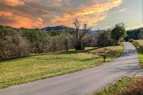 00 Perry Davis Road, Greeneville, TN 37743