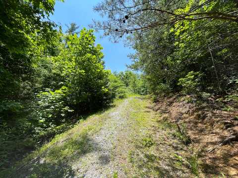 Lot 31 Sonshine Ridge Road, Cosby, TN 37722