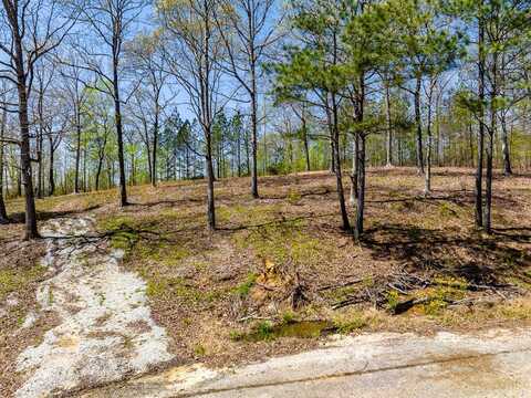 Peregrine Place Lot 46, CEDAR GROVE, TN 38351