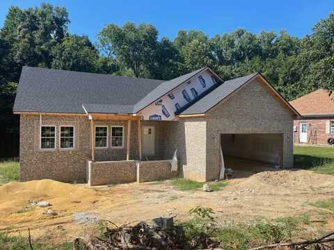 103 Lab dr, BUCHANAN, TN 38222