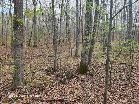 Lakeview Trail, HOLLADAY, TN 38341