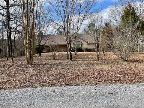 95 Ratteree Road, BUCHANAN, TN 38222