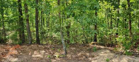 Lot 6 Chinkapin Rd, HOLLADAY, TN 38341