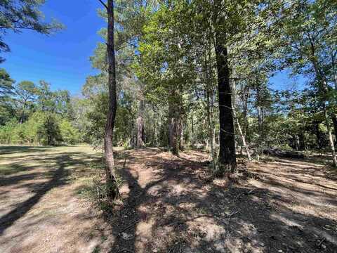 580 A Dogwood Loop, Jasper, TX 75951