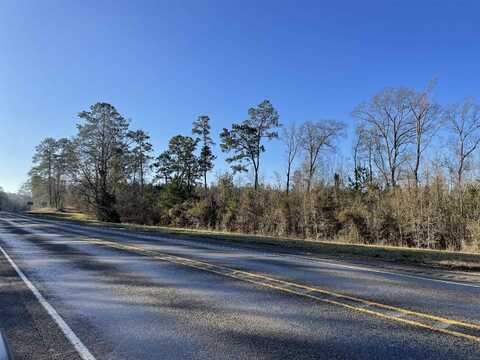 Hwy 96 N and Centerview Road, Pineland, TX 75968