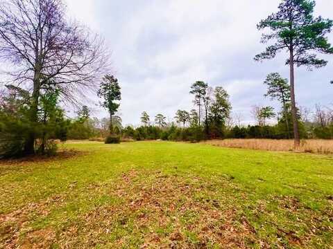 451 Old Tejas Trail E, Hemphill, TX 75948