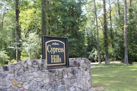 Lot 25, 3.866 Cypress Hills Subdivision, Jasper, TX 75951