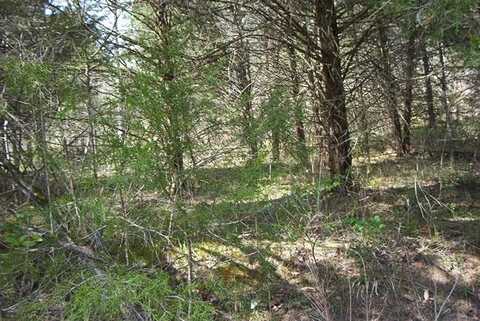 18.65ac Poore Hollow Lane, Hestand, KY 42151