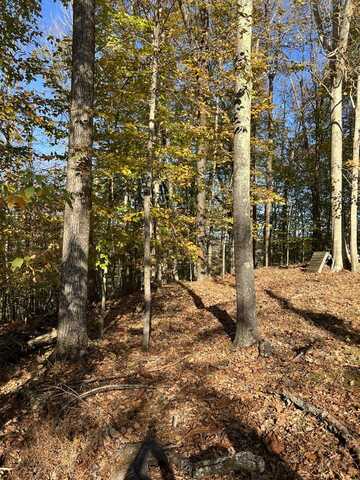 Lot 18 Icy Cove Trail, MONTEREY, TN 38574