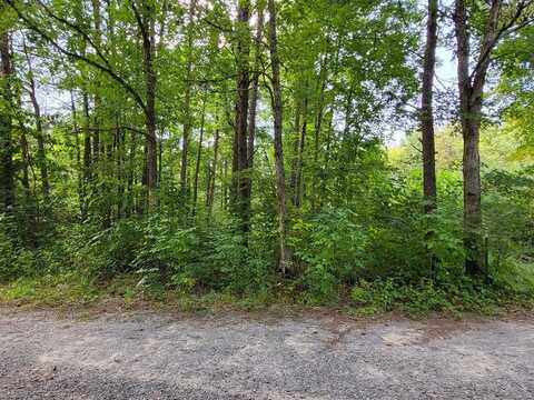 S Bowater Road 34.5 Acres, Pikeville, TN 37367