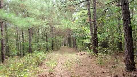 56.08AC Sheep Ranch Road, Robbins, TN 37852