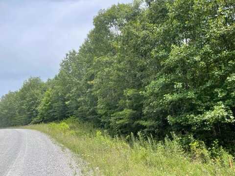 5.68ac Big Piney Lp, WILDER, TN 38589