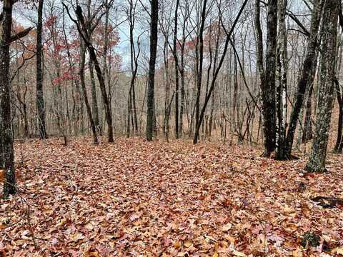 lot 11 Cumberland Cove, MONTEREY, TN 38574