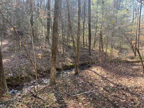 RAFTER 0, Tellico Plains, TN 37385