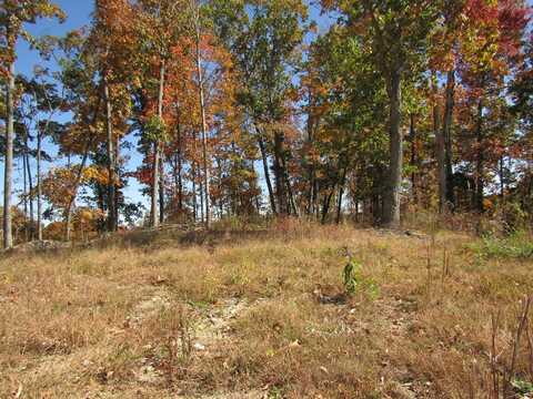 20.50 ac Old Hwy 52 West Loop, Celina, TN 38551