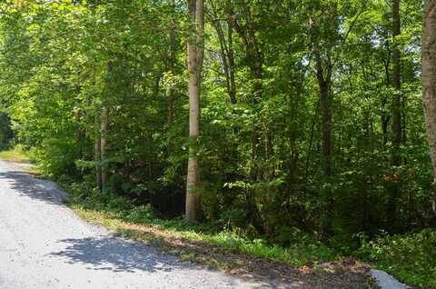 Catoosa Canyon Dr, CROSSVILLE, TN 38571