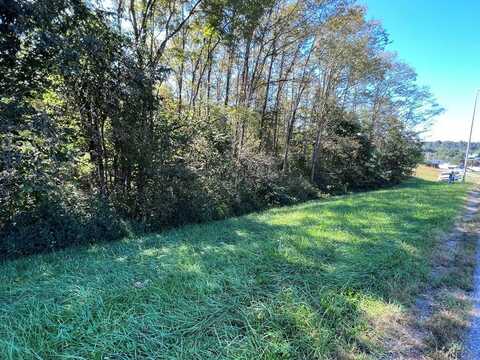 4.12 AC Hwy 42 Bypass/Tulip Ave, Byrdstown, TN 38549