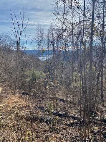 Lot 114 Harbor Pointe Dr, Silver Point, TN 38582